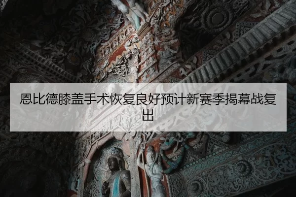 en-bi-de-xi-gai-shou-shu-hui-fu-liang-hao-yu-ji-xin-sai-ji-jie-mu-zhan-fu-chu-2-594.jpg